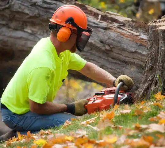 tree services Crownpoint